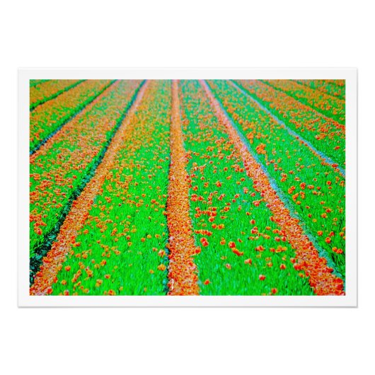 Fotouitbreiding Foto Afdruk (Voorkant)