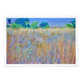 Fotouitbreiding Foto Afdruk