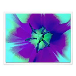 Fotouitbreiding Foto Afdruk