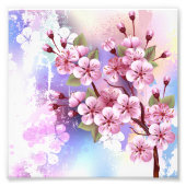 Fotouitbreiding Foto Afdruk (Voorkant)