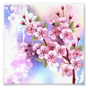 Fotouitbreiding Foto Afdruk