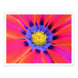 Fotouitbreiding Foto Afdruk