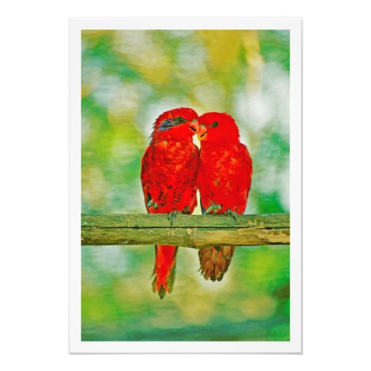 Fotouitbreiding Foto Afdruk (Voorkant)