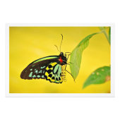 Fotouitbreiding Foto Afdruk (Voorkant)