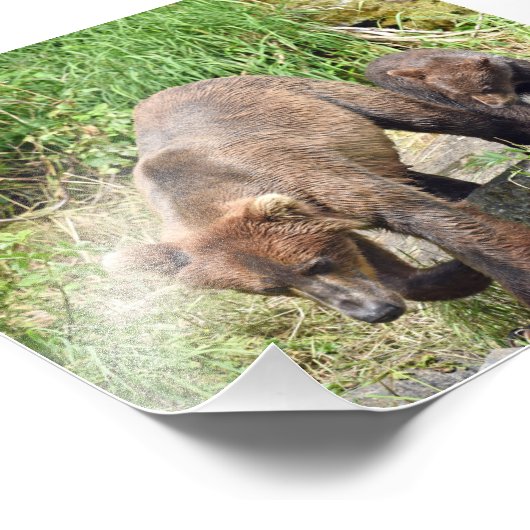 Fotouitbreiding Foto Afdruk (Hoek)