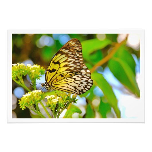 Fotouitbreiding Foto Afdruk (Voorkant)