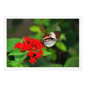 Fotouitbreiding Foto Afdruk (Voorkant)