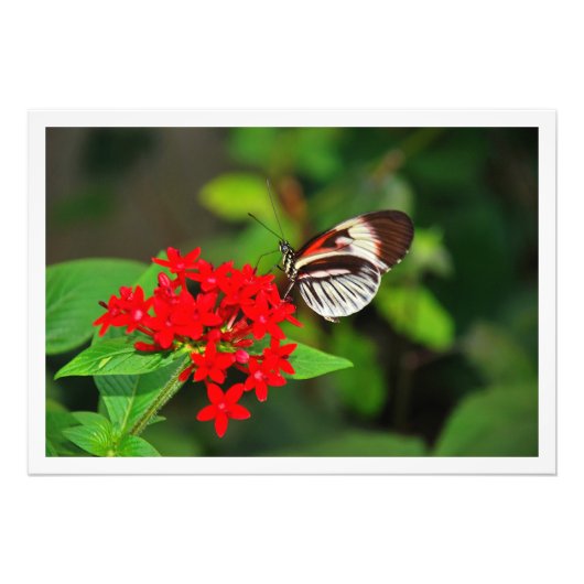 Fotouitbreiding Foto Afdruk (Voorkant)