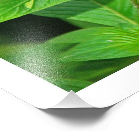 Fotouitbreiding Foto Afdruk (Hoek)