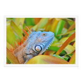 Fotouitbreiding Foto Afdruk (Voorkant)