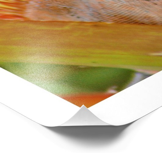 Fotouitbreiding Foto Afdruk (Hoek)