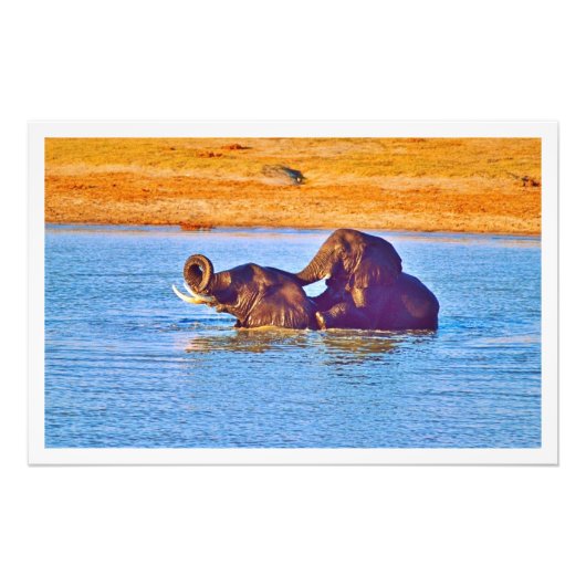 Fotouitbreiding Foto Afdruk (Voorkant)