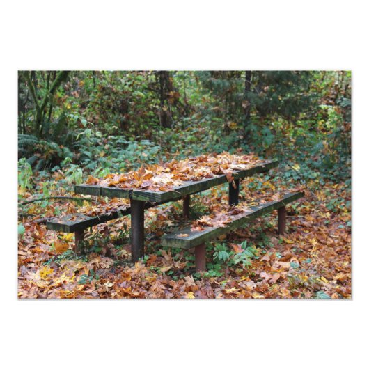 Fotouitbreiding op Picnic Bench 19 x 13 inch Foto Afdruk (Voorkant)