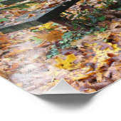 Fotouitbreiding op Picnic Bench 19 x 13 inch Foto Afdruk (Hoek)