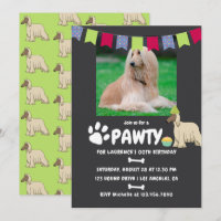 Fotouitnodiging van Afghan Hound Dog Birthday