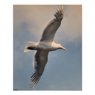 Fotovergroting van vliegende meeuw foto afdruk