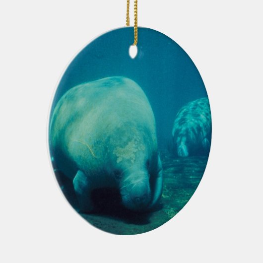 Fotoversiering beheren keramisch ornament (Rechts)