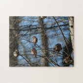 Fotovogels van het Huis Finch Legpuzzel (Horizontaal)