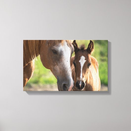 Foul  | Zazzle_Growshop. Canvas Afdruk (Voorkant)