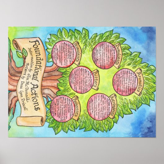 Foundactions - Western Herbalisme Poster (Voorkant)