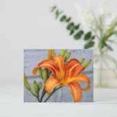 Foundation Lily - Daylily Briefkaart (Staand voorkant)