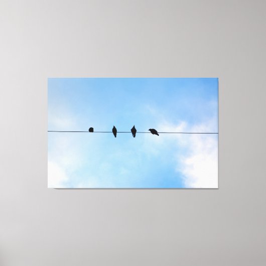 Four Birds on a Wire (fotografie door mij) Canvas Afdruk (Voorkant)