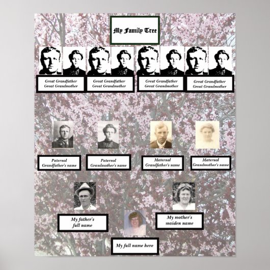 Four Generation Plum Blossom Family Tree Poster (Voorkant)