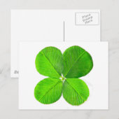 Four Leaf Clover Het museum Zazzle Gifts Briefkaart (Voorkant / Achterkant)