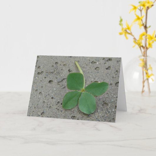Four Leaf Clover - Lucky Charm Kaart (Gele Bloem)