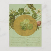Four Leaf Clover St Patrick's Day Kaart (Voorkant)