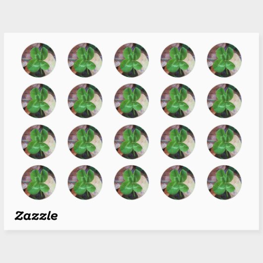 Four leaf clover Sticker (Vel)