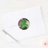 Four leaf clover Sticker (Envelop)