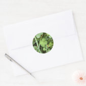 Four Leaf Clover Sticker (Envelop)