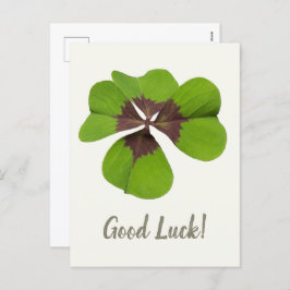 Four Leaf Lucky Clover St Patricks Day Succes Feestdagenkaart