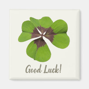 Four Leaf Lucky Clover St Patricks Day Succes Magneet