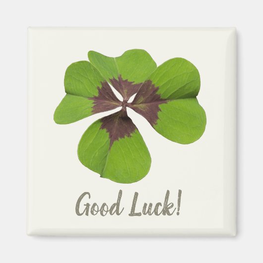 Four Leaf Lucky Clover St Patricks Day Succes Magneet (Voorkant)