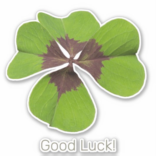 Four Leaf Lucky Clover St Patricks Day Succes Sticker (Voorkant)