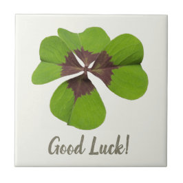 Four Leaf Lucky Clover St Patricks Day Succes Tegeltje