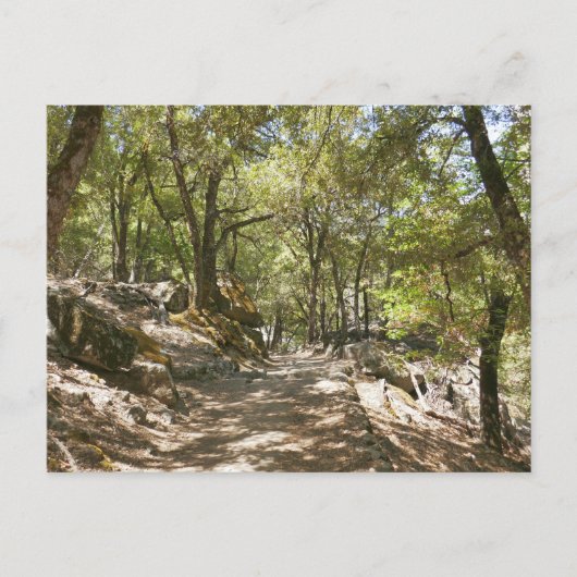 Four Mile Trail Briefkaart (Voorkant)