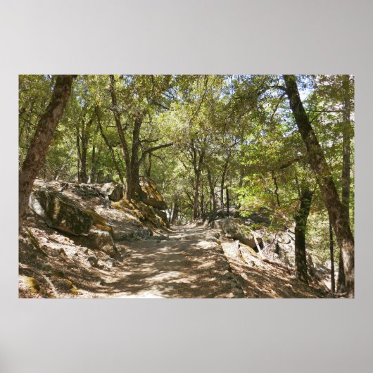 Four Mile Trail Poster (Voorkant)