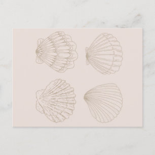 Four Shells Briefkaart