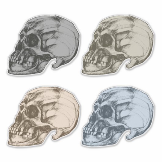 Four Skulls Vinyl Sticker (Voorkant)