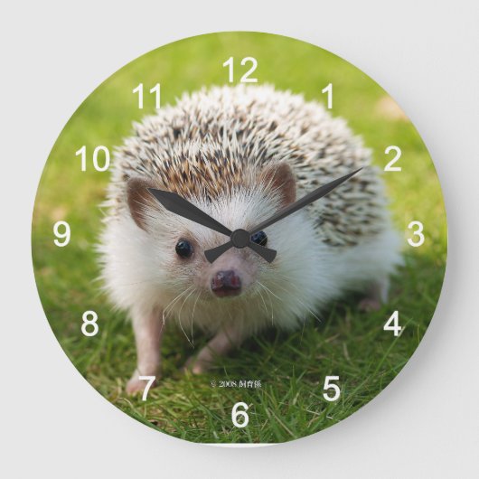 Four-toed hedgehog grote klok (Voorkant)