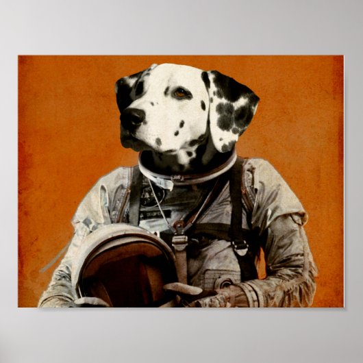 Fout: geen optie poster (Voorkant)