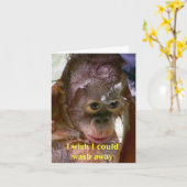 Fouten het spijt me kaart (Gele Bloem)