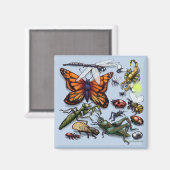 Fouten Magneet (Voorkant / Achterkant)