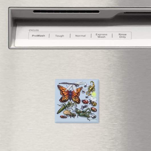 Fouten Magneet (Insitu (Vaatwasser))