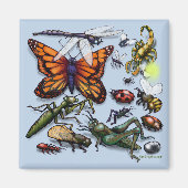 Fouten Magneet (Voorkant)