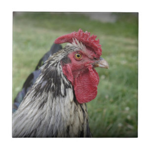 Fowl Face Tegeltje