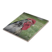 Fowl Face Tegeltje (Zijkant)